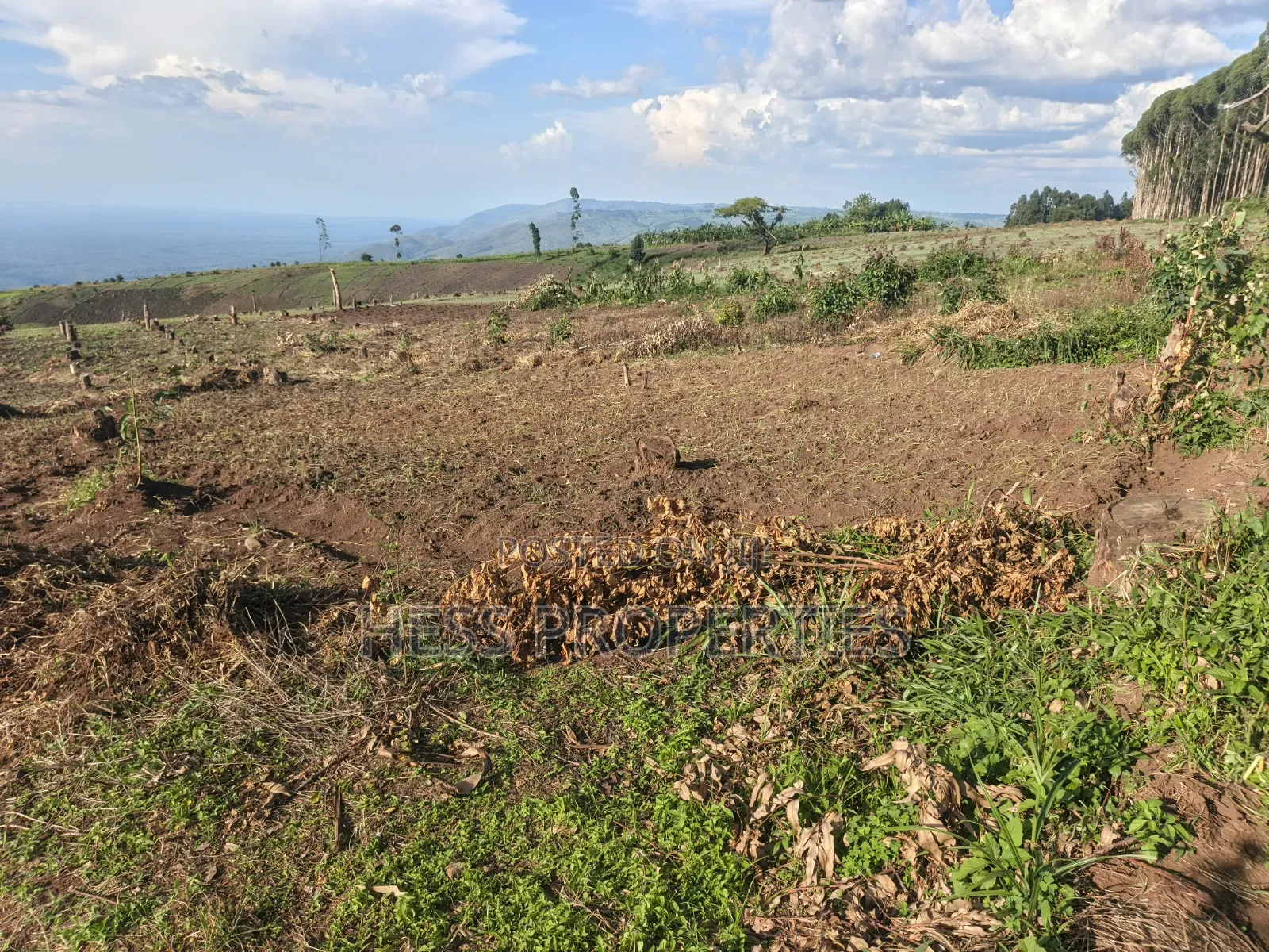 60acres of Land on Sale Located in Kabarole