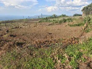 60acres of Land on Sale Located in Kabarole