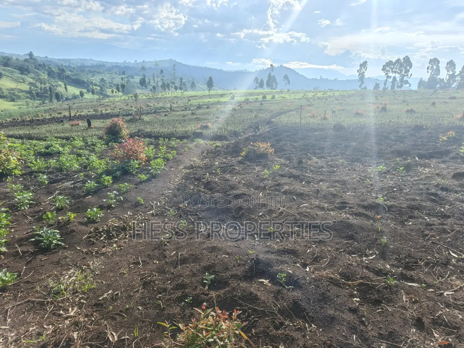 60acres of Land on Sale Located in Kabarole