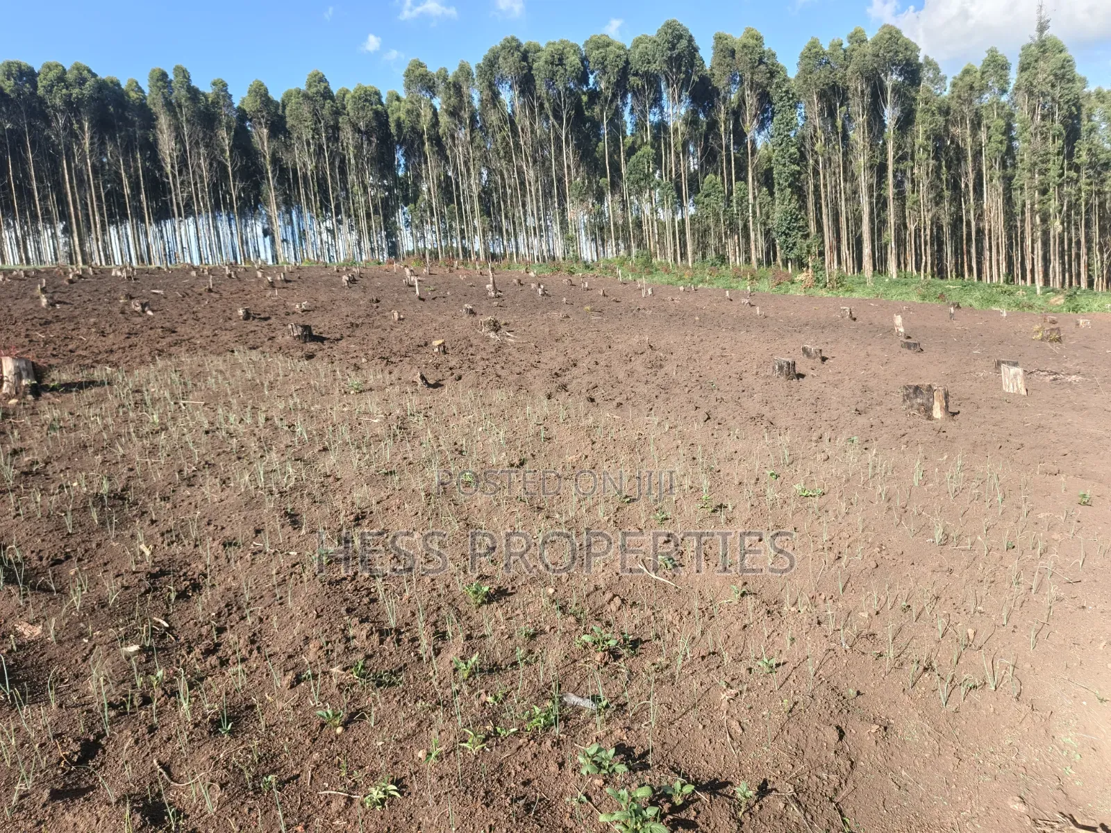 60acres of Land on Sale Located in Kabarole