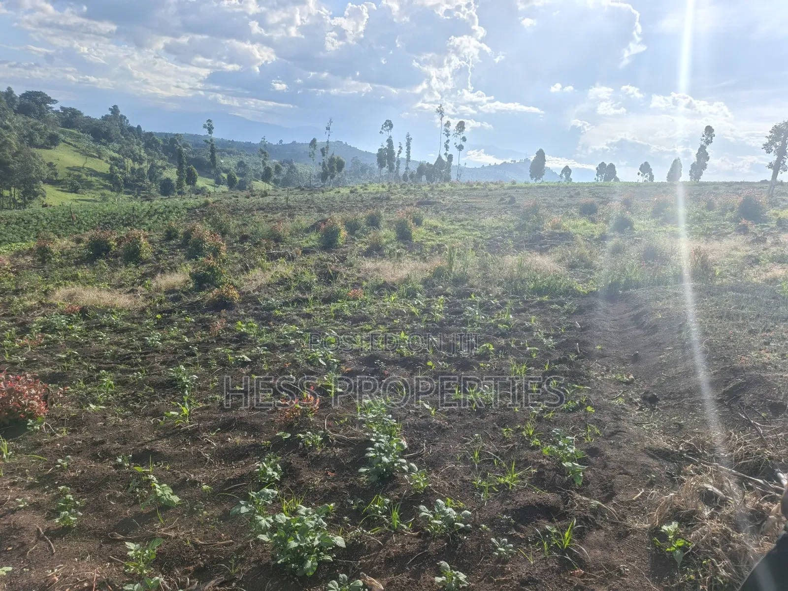 60acres of Land on Sale Located in Kabarole