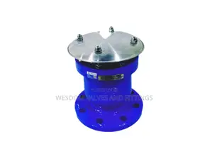 Single Flange Air Valve (304) Pn16 - Sizes 2" to 6" Available