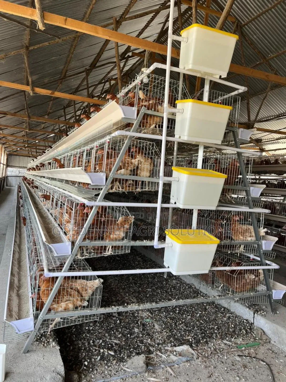 Type a Poultry Cage