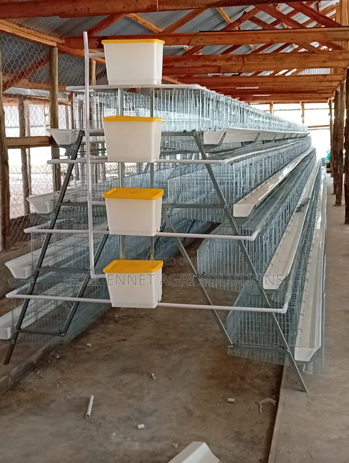 Type a Poultry Cage