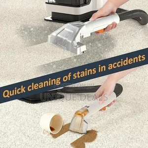 Home Use Wet Dry Vacuum Portable Car Spot Mattress Carpet Cleaner
