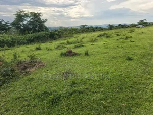 Farmland Seat on 175acres on Sale in Kyenjojo District