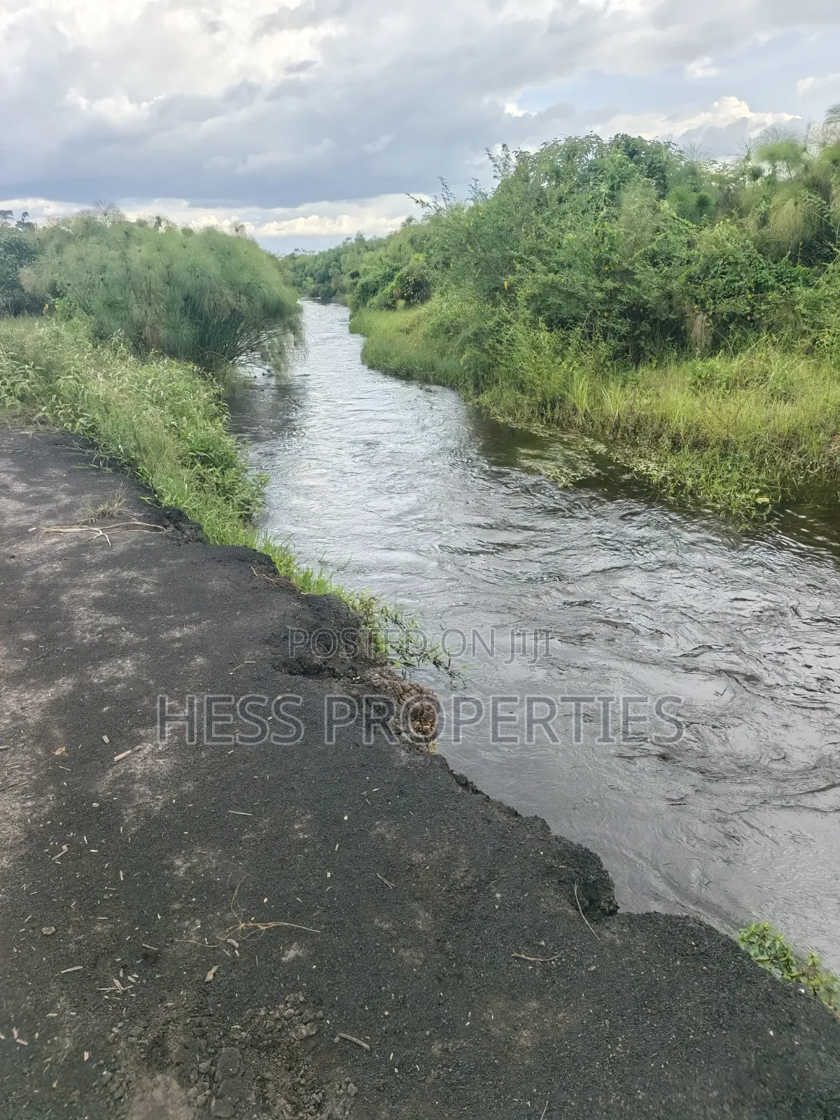 Farmland Seat on 175acres on Sale in Kyenjojo District