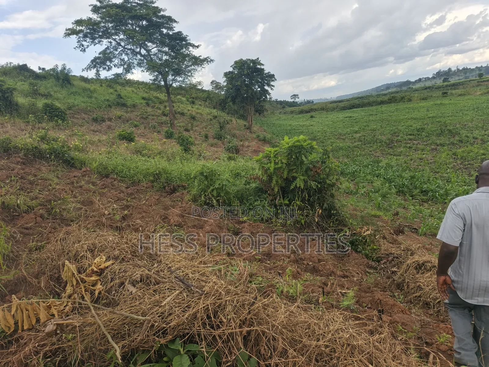 Farmland Seat on 175acres on Sale in Kyenjojo District