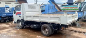 Canter Tipper Small Tye