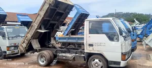 Canter Tipper Small Tye