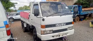 Canter Tipper Small Tye