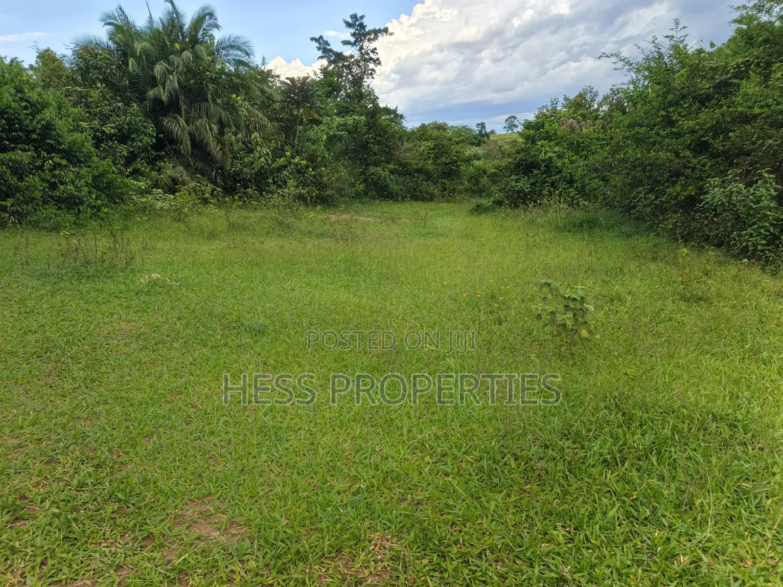 Farmland Seat on 175acres on Sale in Kyenjojo District