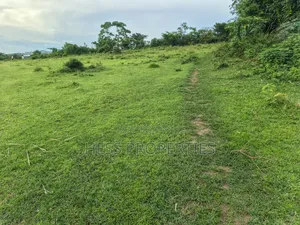 Farmland Seat on 175acres on Sale in Kyenjojo District