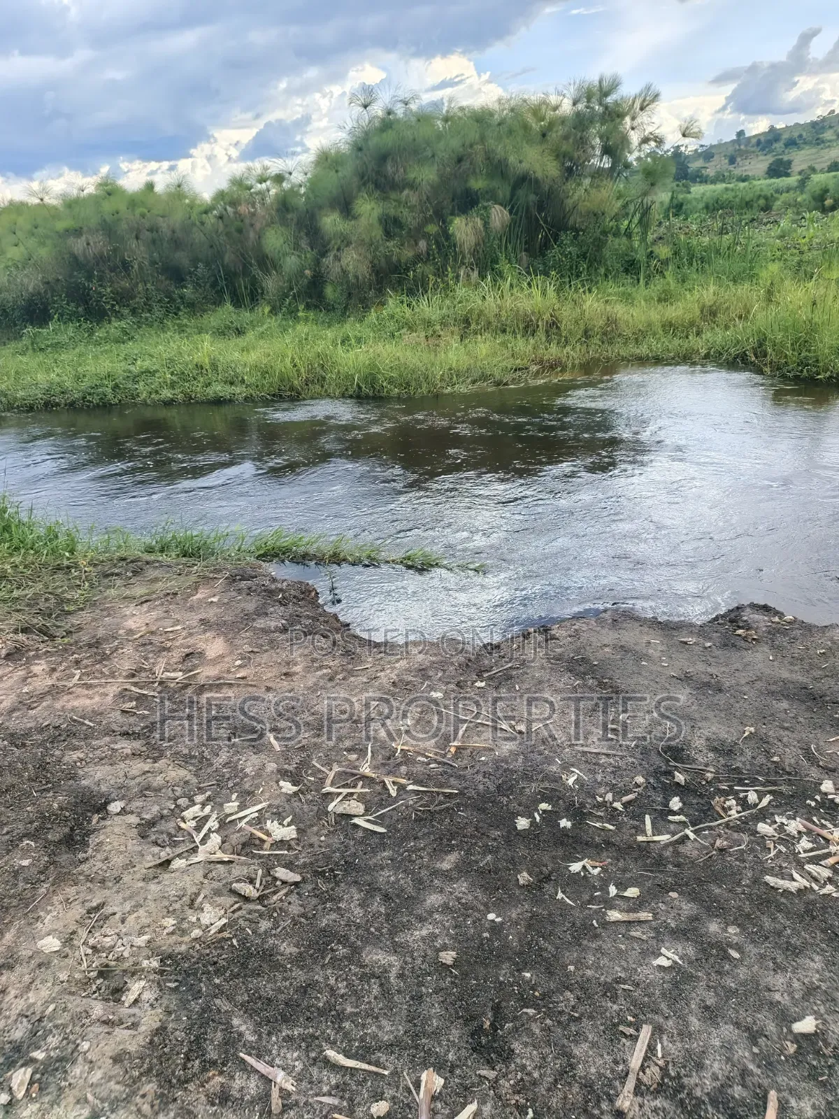 Farmland Seat on 175acres on Sale in Kyenjojo District
