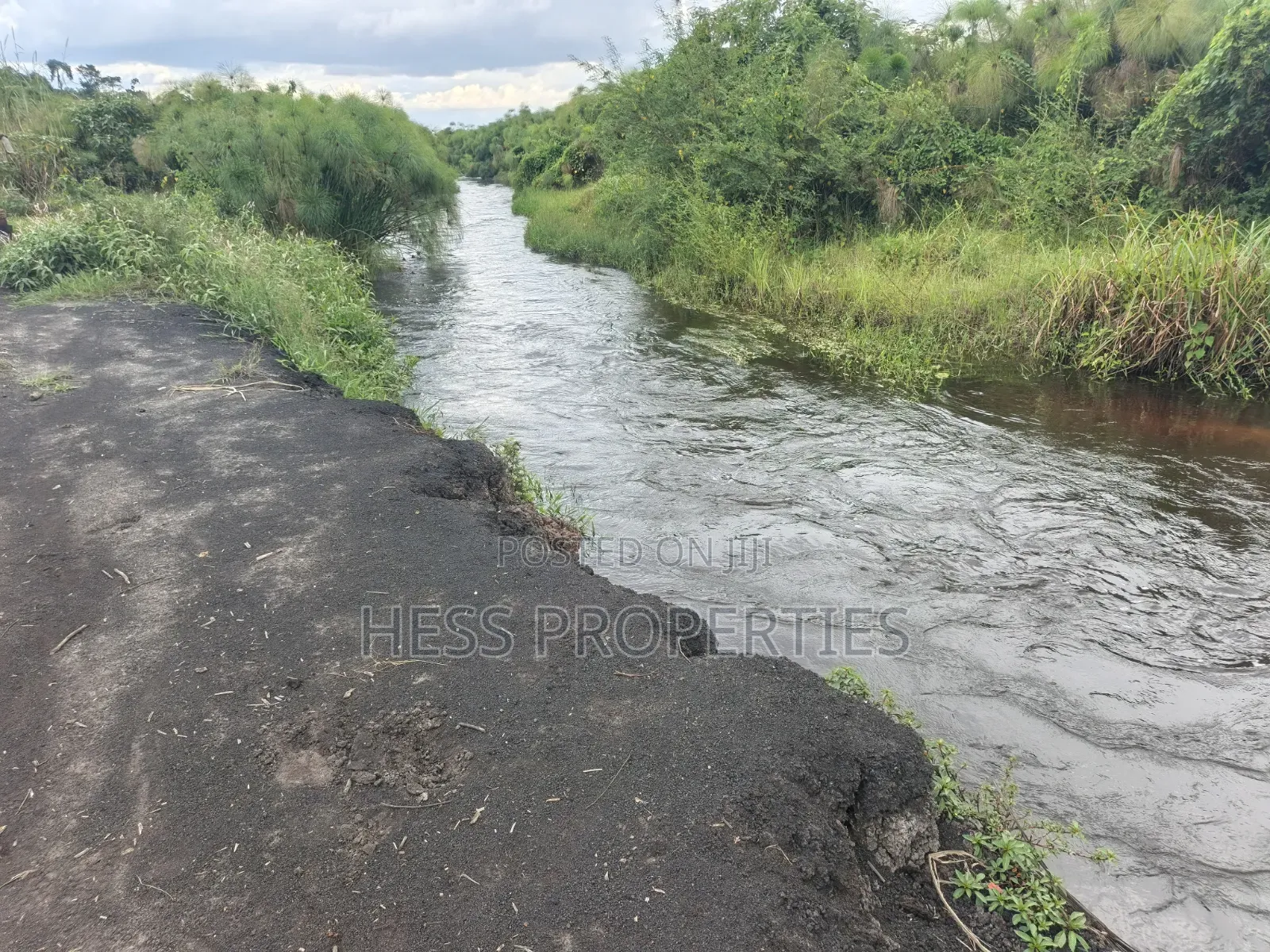 Farmland Seat on 175acres on Sale in Kyenjojo District