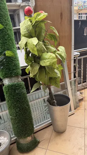 Affordable Artificial Plants in Kampala