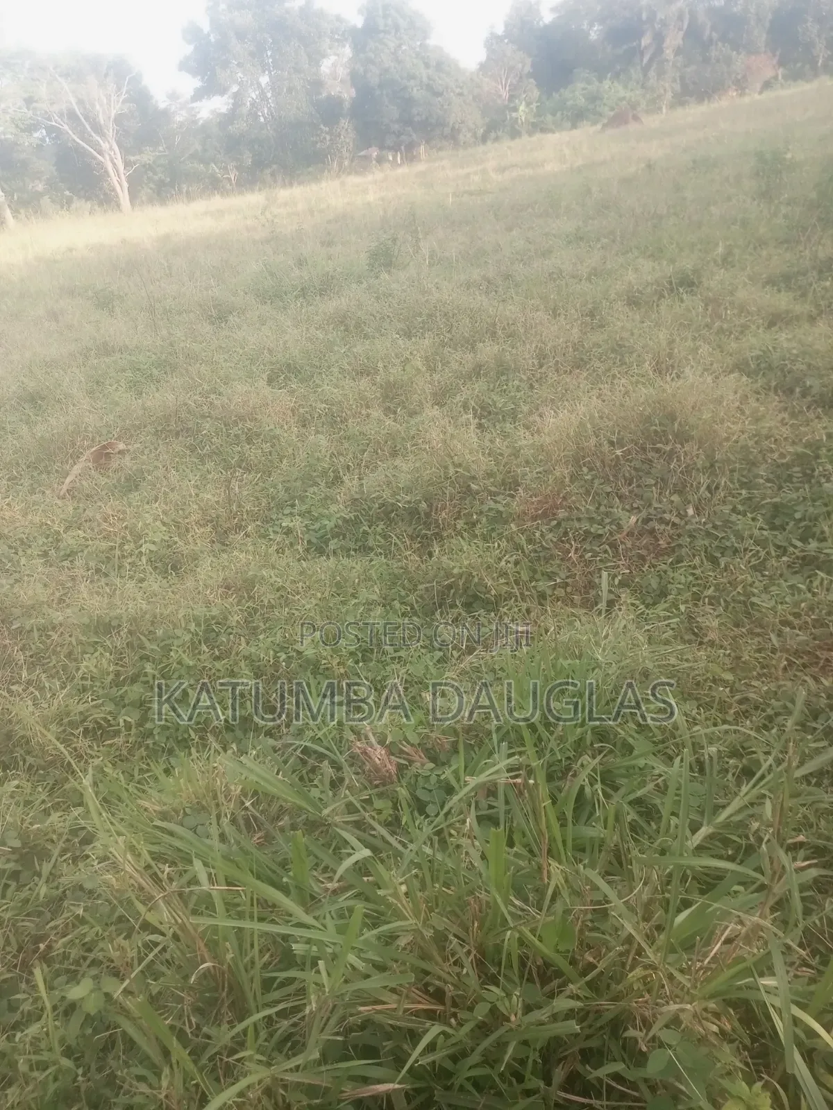 1 Acre for Sale,