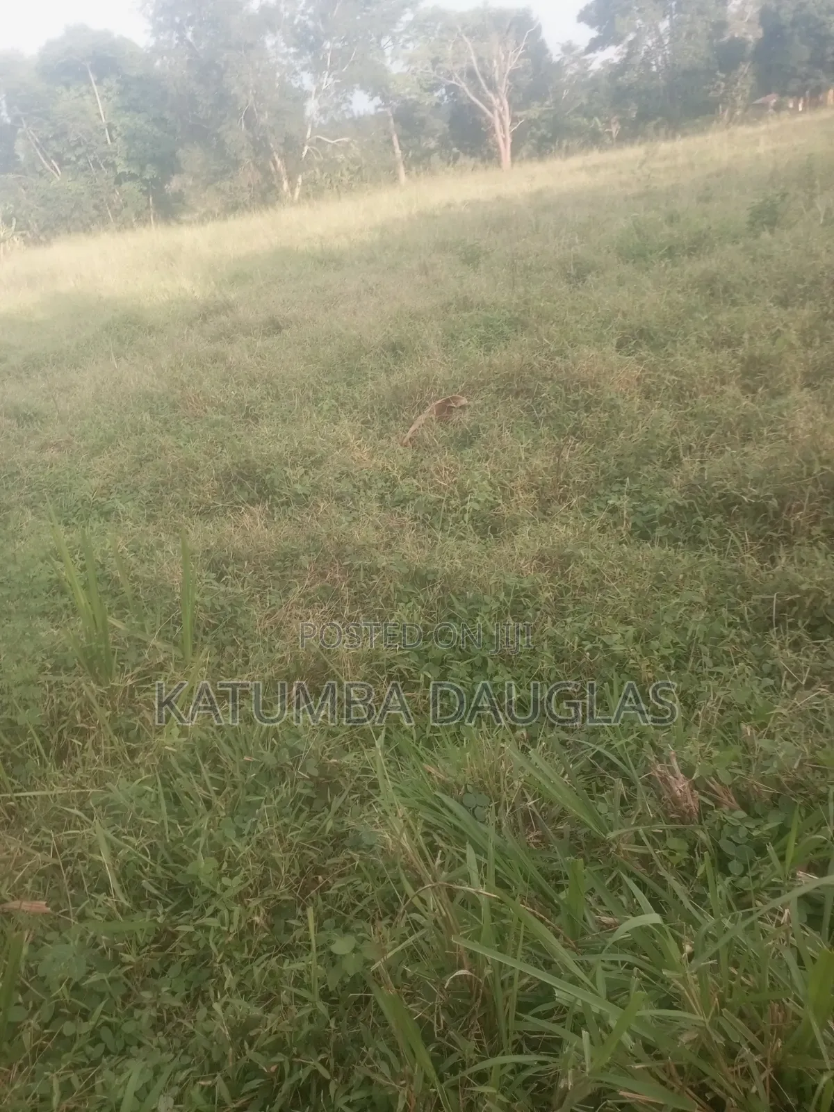1 Acre for Sale,