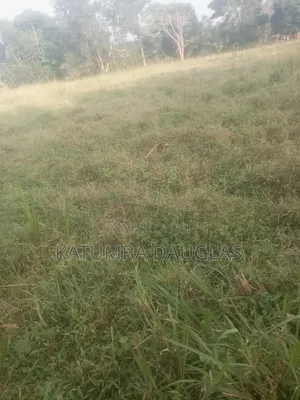 1 Acre for Sale,