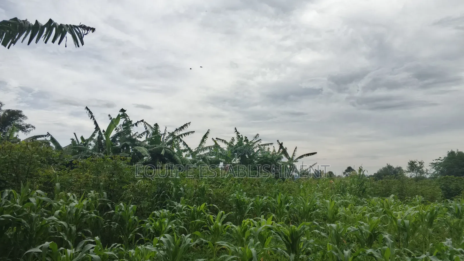 Plot's Available Kikandwa Mukono Kayunga Road