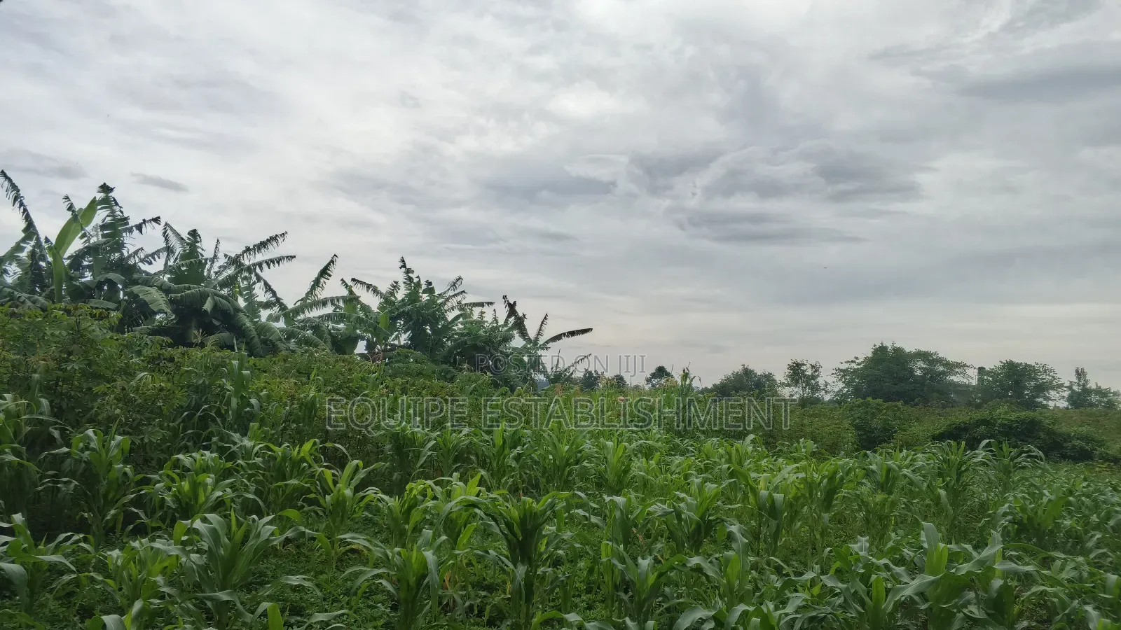 Plot's Available Kikandwa Mukono Kayunga Road