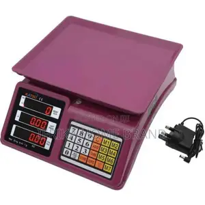 Smart Electronic Price Computing Weighing Scale 30kg With Led Display