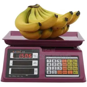 Smart Electronic Price Computing Weighing Scale 30kg With Led Display