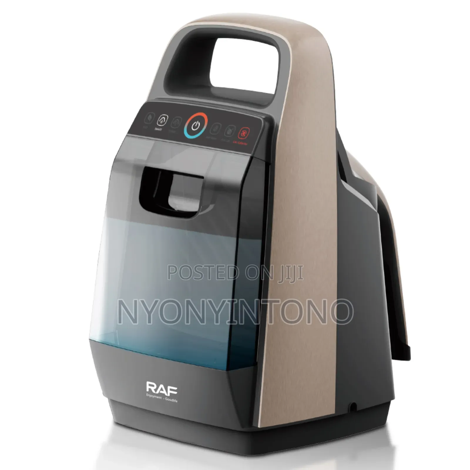 Raf 2 Liters Garment Steamer R3049