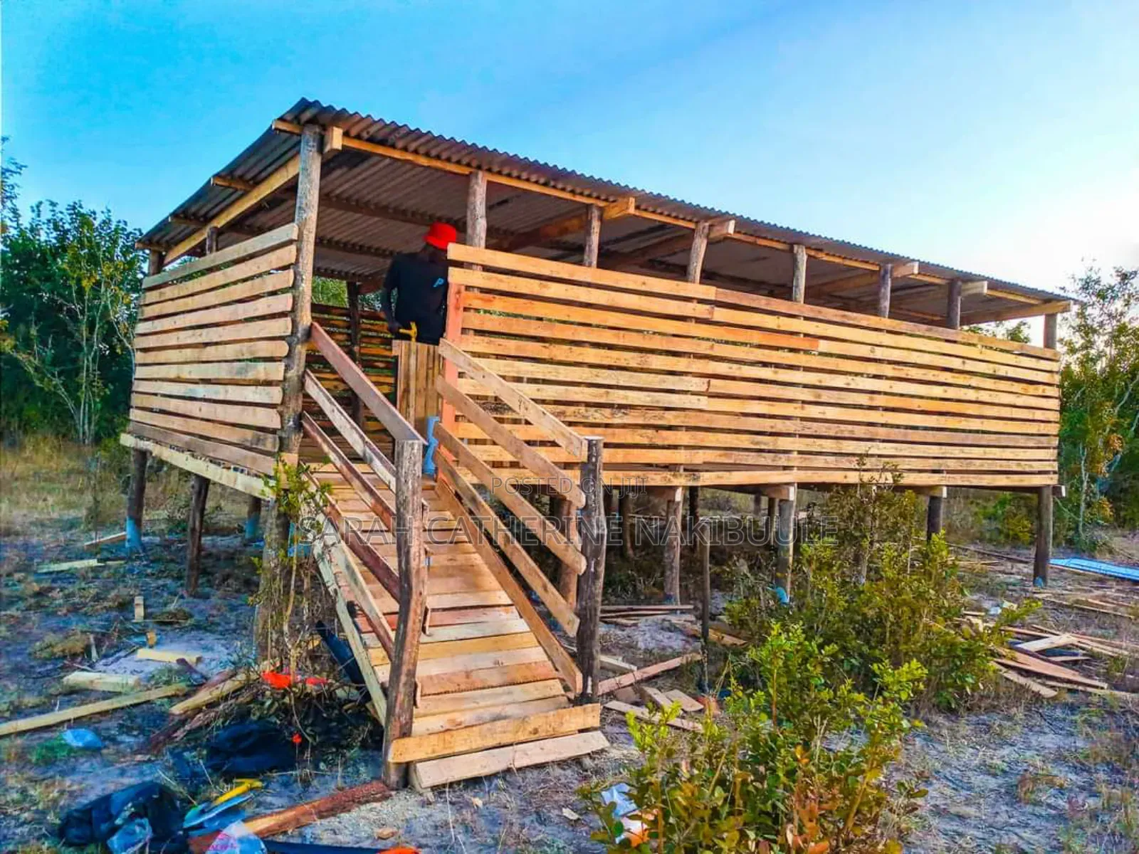 Standard Goats Structures