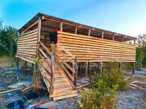 Standard Goats Structures