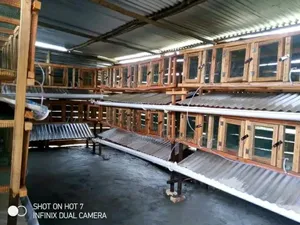 Standard Rabbit Cages