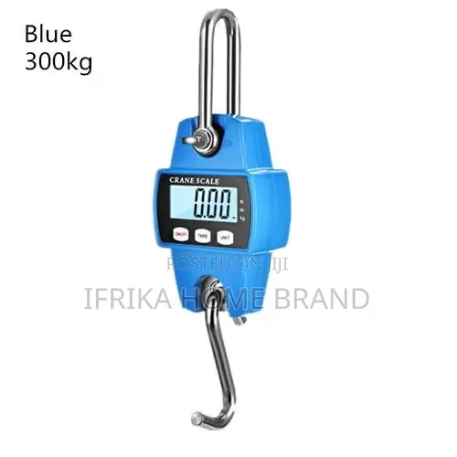 Portable 300kg Weighing Electronic Crane Scale