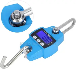 Portable 300kg Weighing Electronic Crane Scale