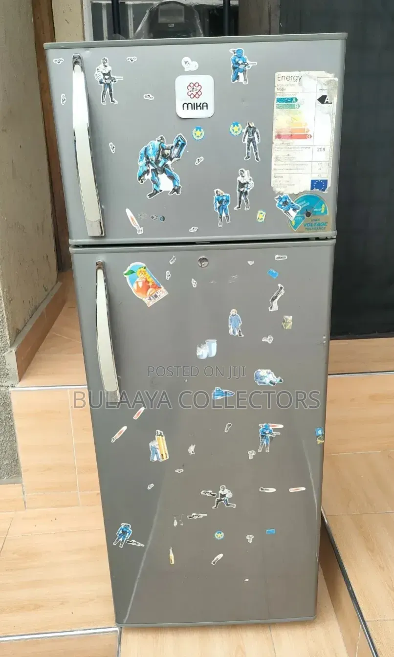 Mika Brand Silver Double-Door Top-Mount Refrigerator.