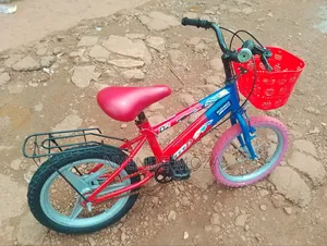 D2 Kids Bicycle.