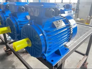 Single Phase and 3phase Motors in All Types Available