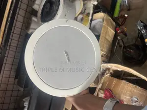 Bose Ceiling Speakers