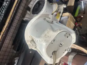 Bose Ceiling Speakers