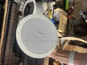 Bose Ceiling Speakers