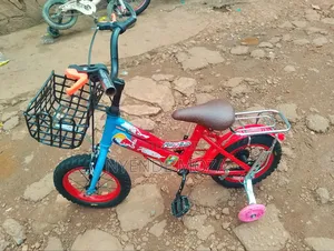 The Doctor Kids Bicycle