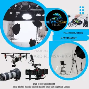 Blue Lizard Films