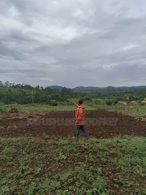 Titled Plot for Sale in Mwera Kakiri