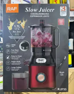 Raf Slow Juicer Model R.2733