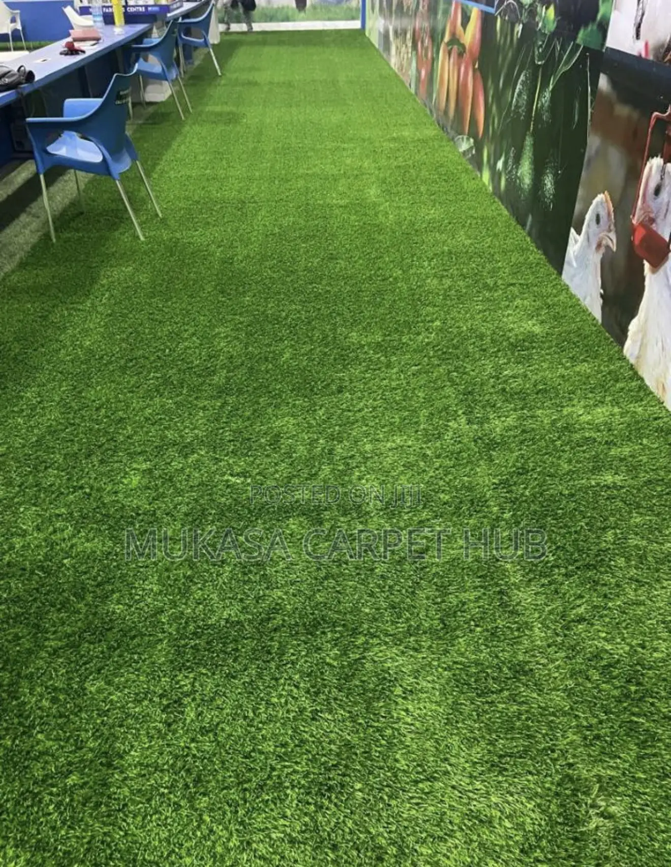 Premium Artificial Grass Carpet – Natural Look Feel