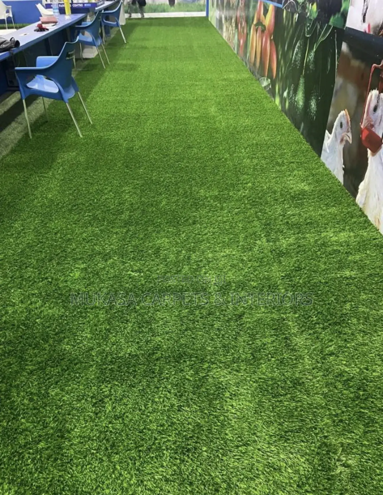 Premium Artificial Grass Carpet – Natural Look Feel