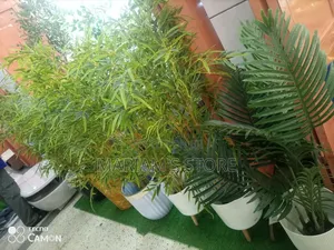 Artificial Bamboo Plant Is a Stylish,