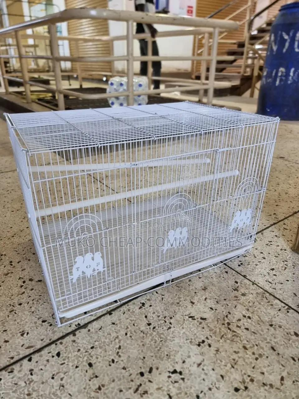 Bird Cage for Birds