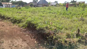 Plot for Sale