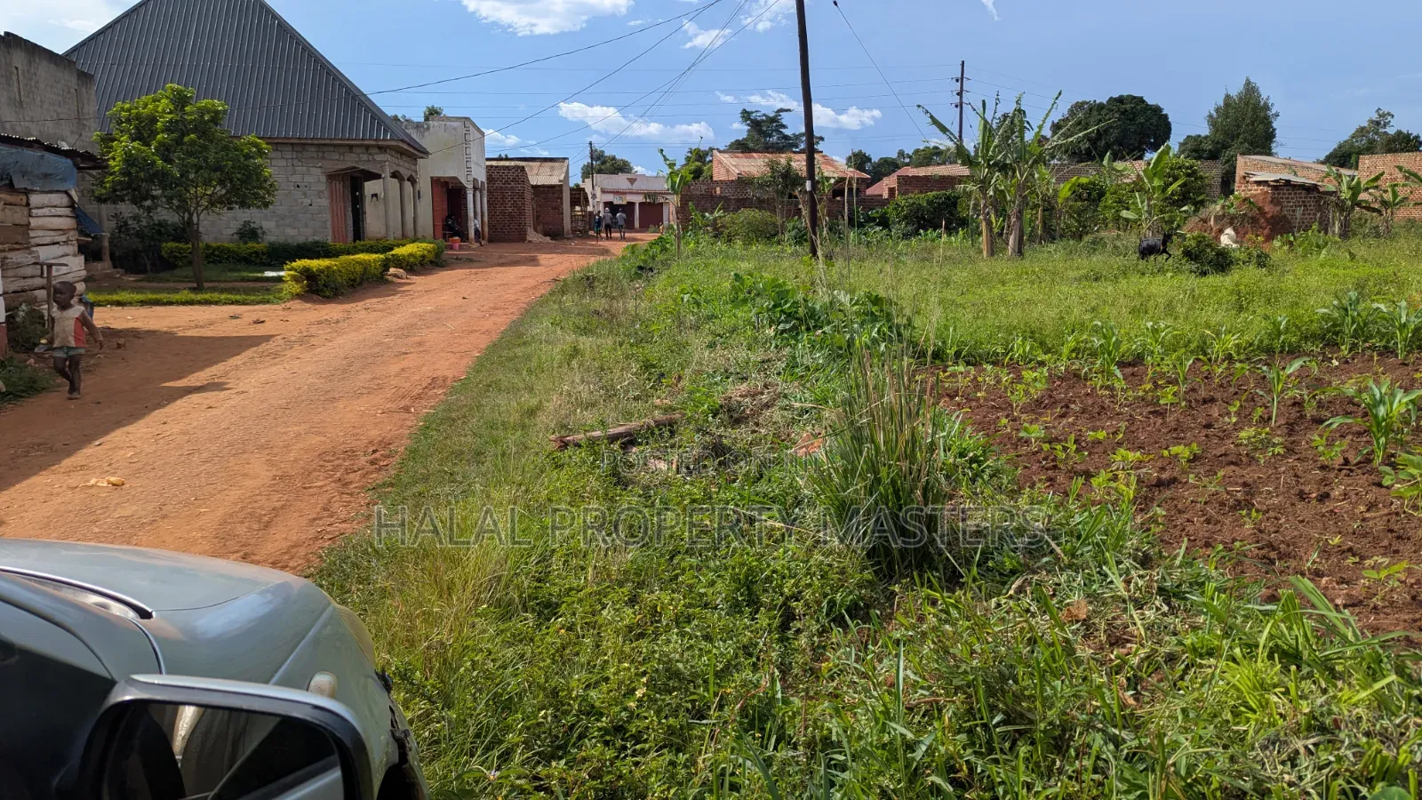 Plot for Sale