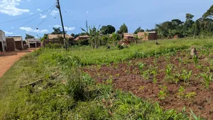 Plot for Sale